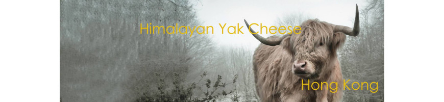 Himalayan Yak Cheese